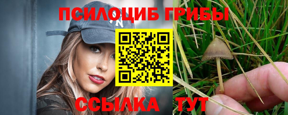 Псилоцибиновые грибы мухоморы  Вход с VPN  Псилоцибиновые грибы прущие грибы  Еманжелинск 